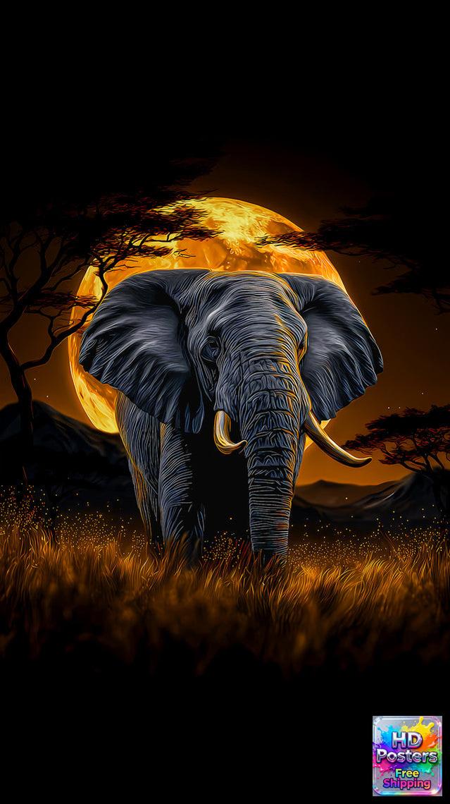 “Silent Horizon” – Sunset Reflection Edition (Mulitple Selections)